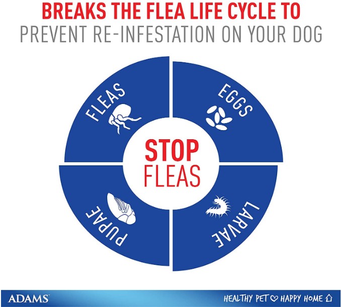 Flea And Tick Prevention Spot On For Dogs