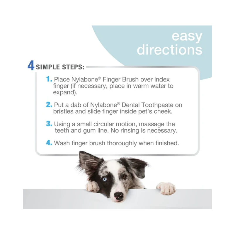 Nylabone Advanced Oral Care Finger Brush
