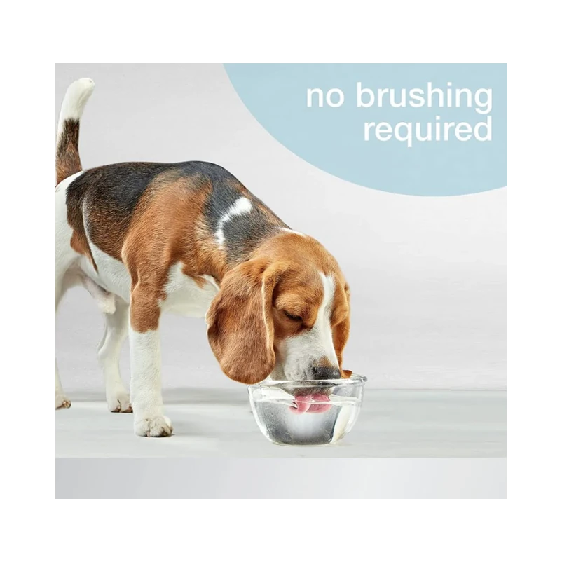 Nylabone Advanced Oral Care Water Additive