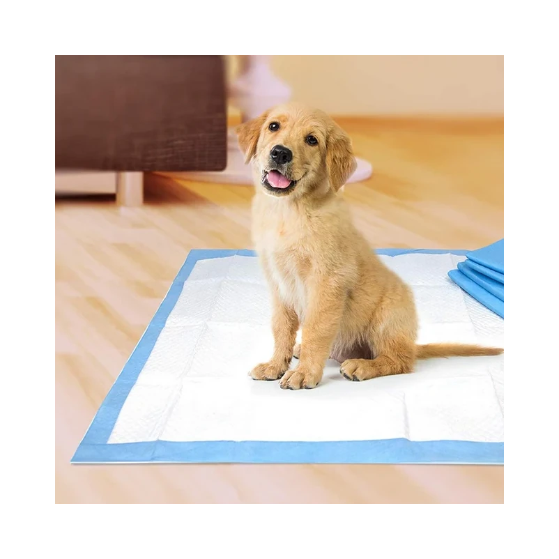 Original Wee Wee Pads for All Dogs and Puppies