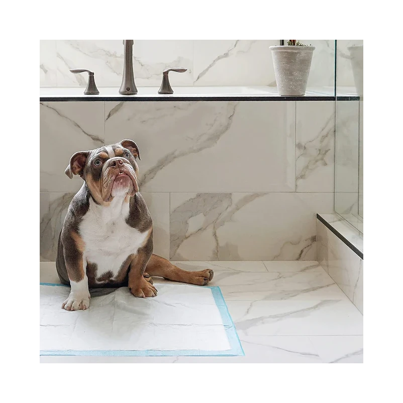 Original Wee Wee Pads for All Dogs and Puppies