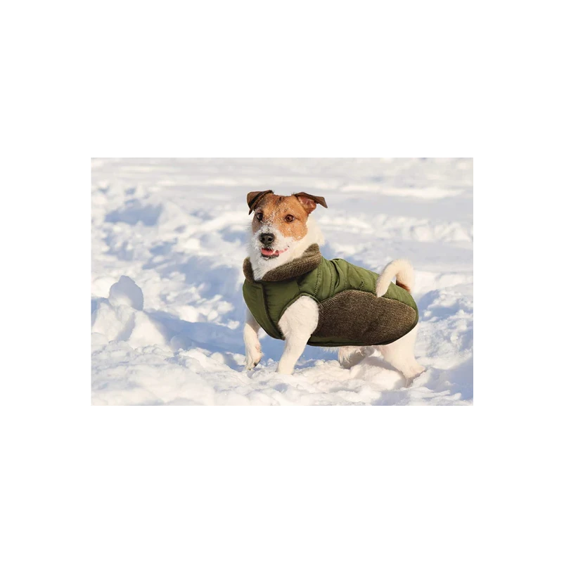Sweater Trim Puffy Dog Coat