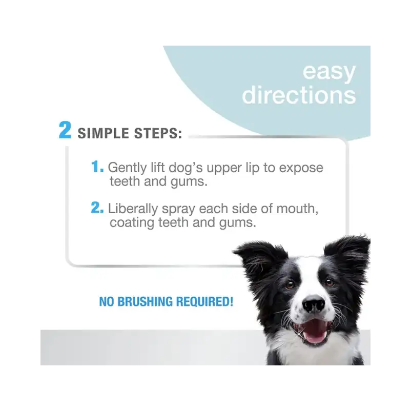 Advanced Oral Care Dental Spray