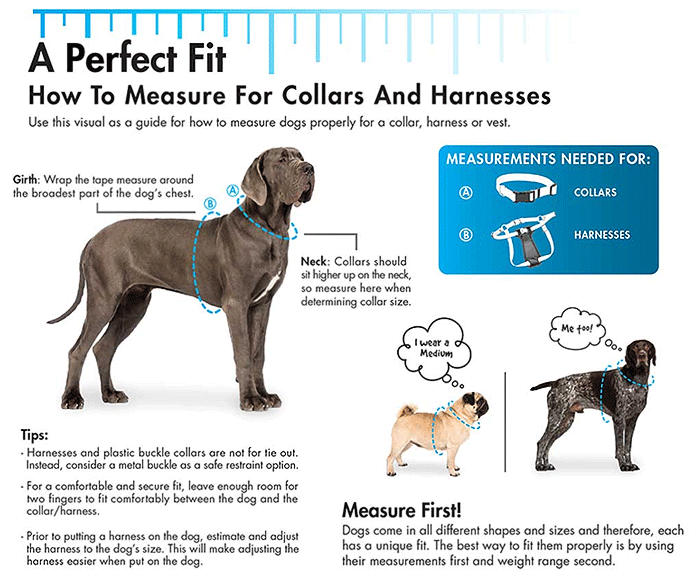COASTAL Comfort Wrap Harness - Image 3