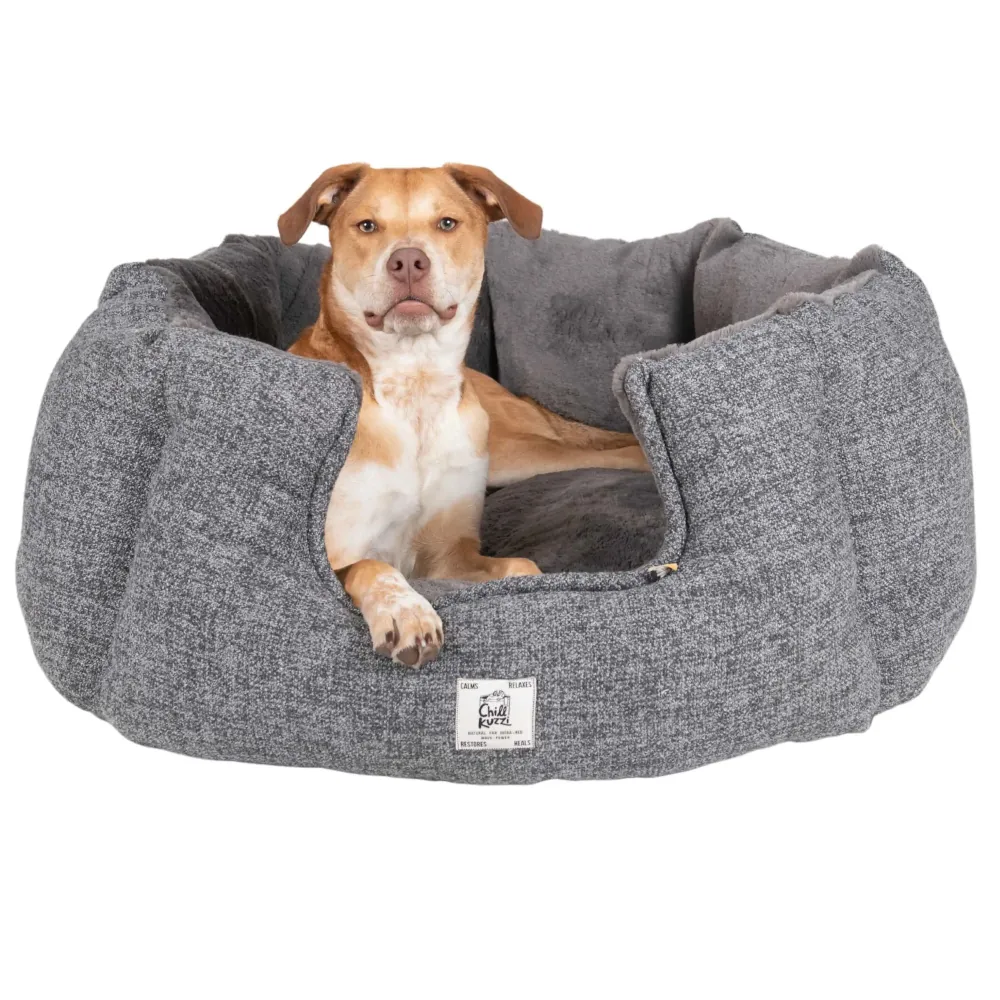 DGS Pet Products Chill Kuzzi Round Bed