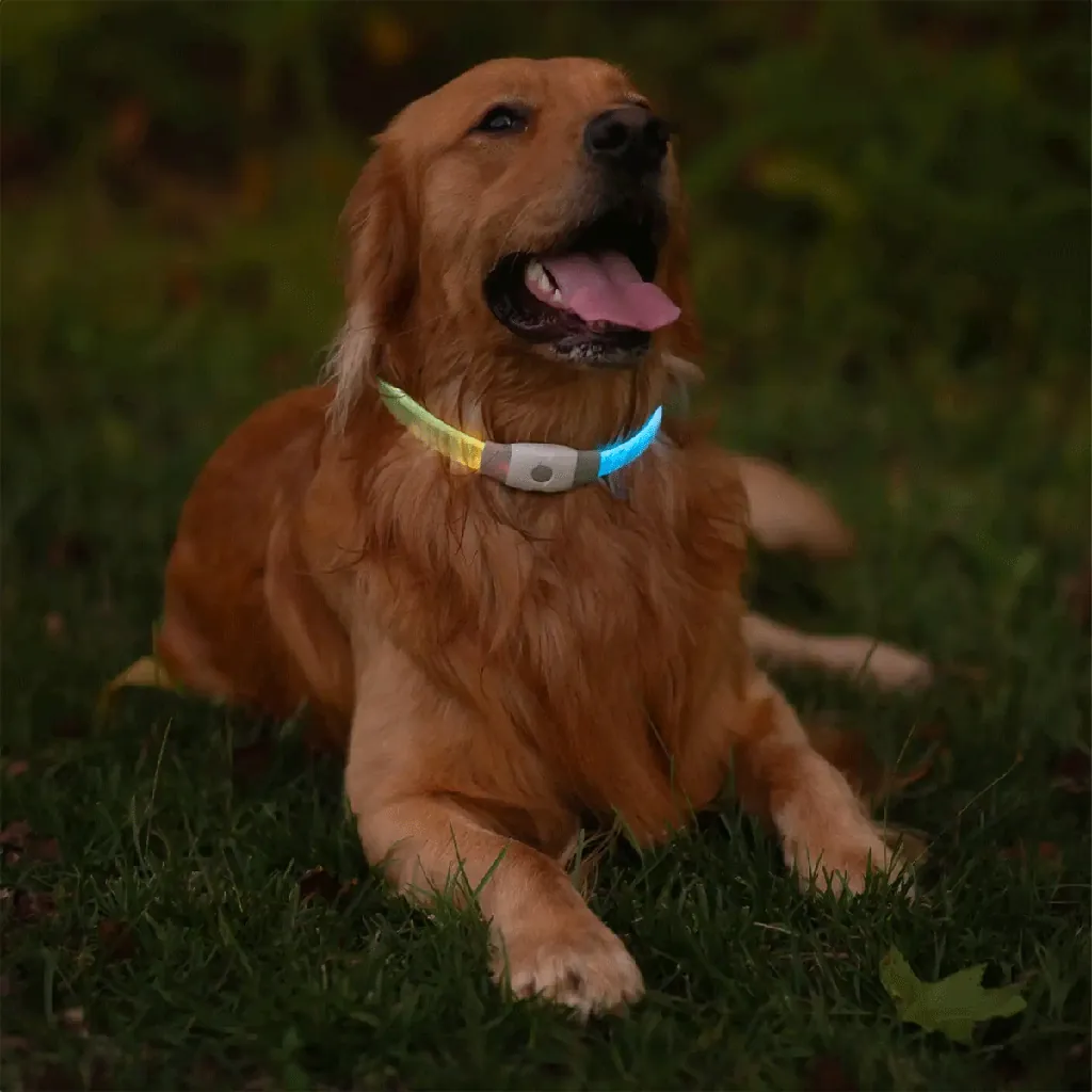 NITE IZE NiteHowl LED Safety Necklace