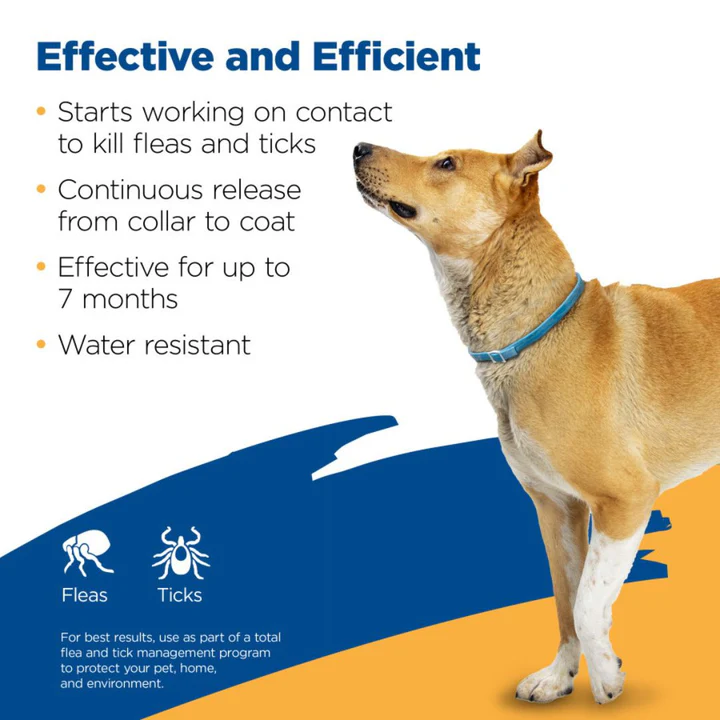 Zodiac Flea and Tick Collar for Dogs