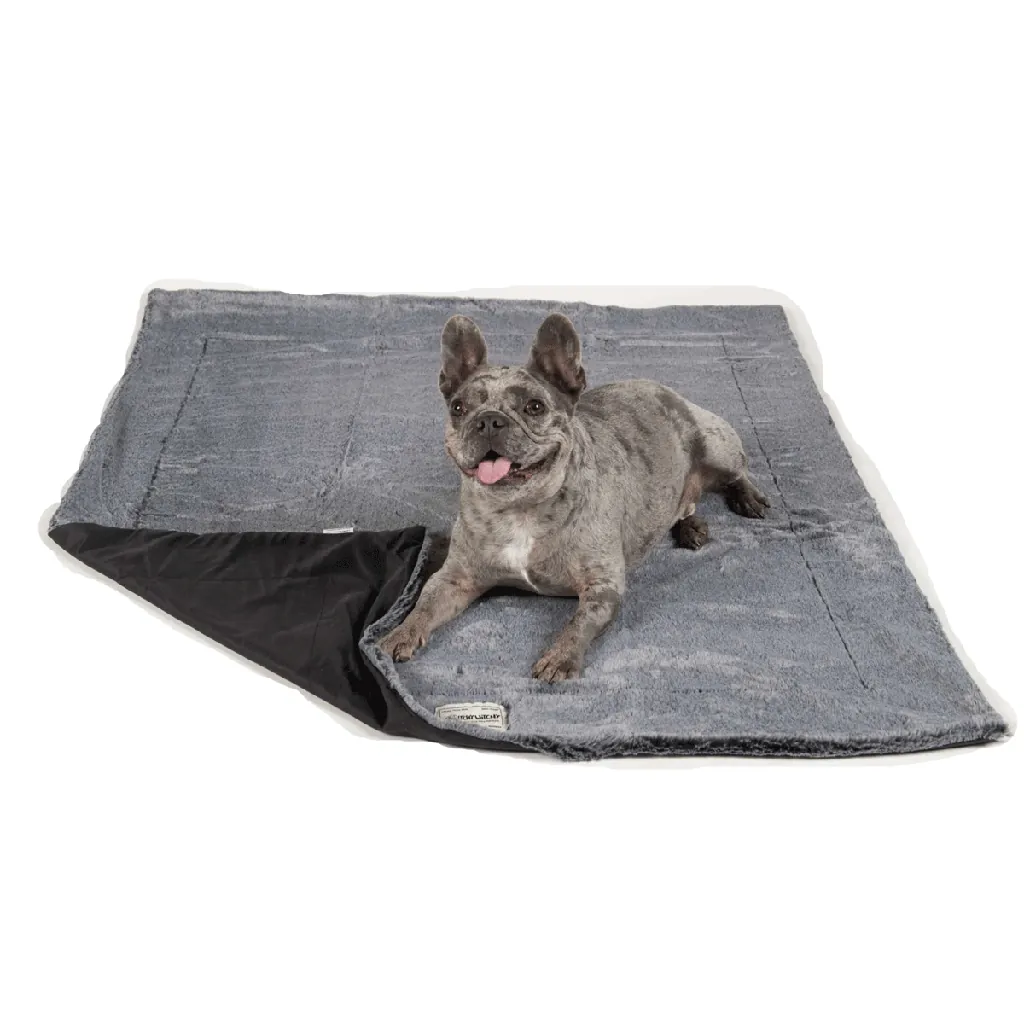 DGS Itchy Witchy Blanket