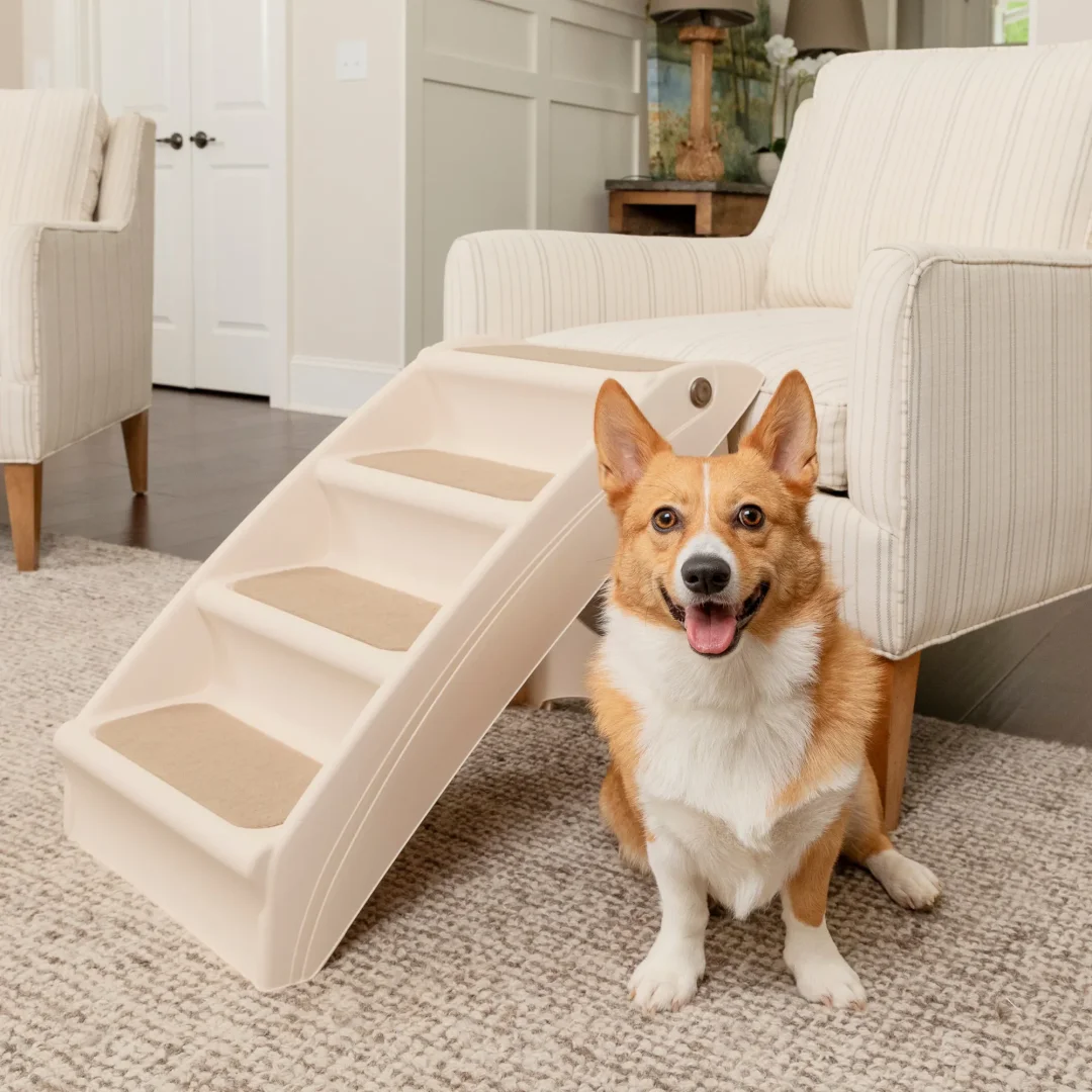 effective-pet-products_lRvgQG6Y PetSafe Folding Pet Steps