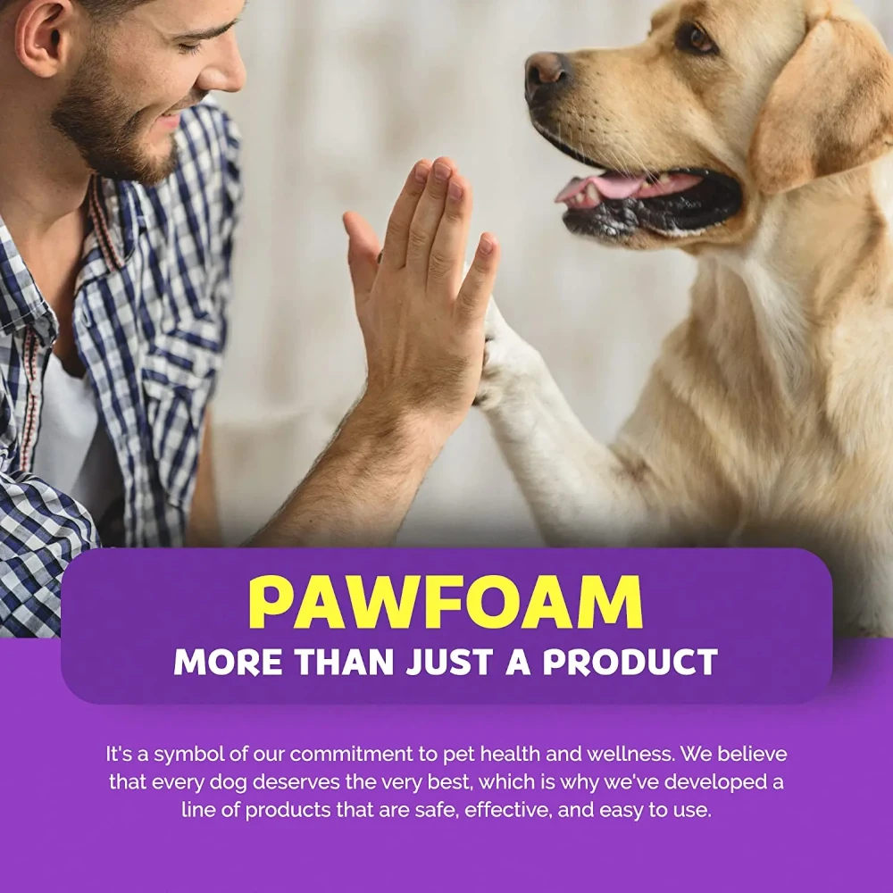 Dog Paw Foam - Image 5